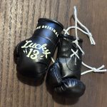 LUCKY 13 MINI GUANTES BOXEO