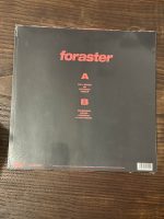FORASTER - Imagen 2
